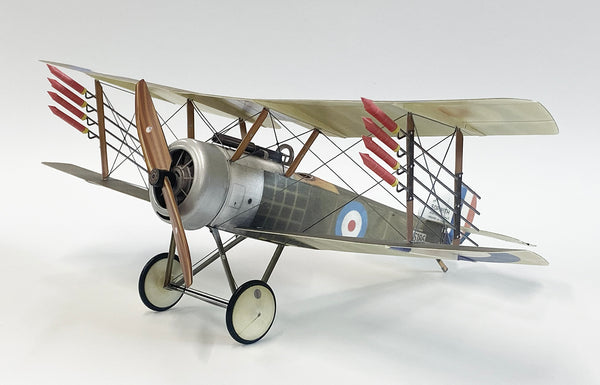 Mike Goldby's Sopwith Pup
